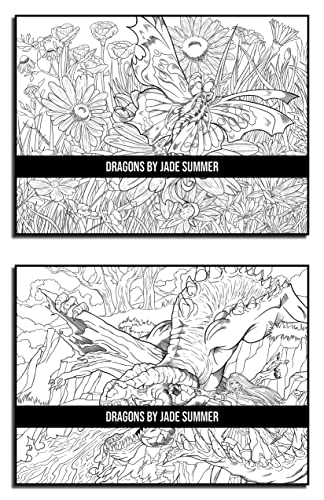 Dragons: An Adult Coloring Book with Mythical Fantasy Creatures and Epic Fantasy Scenes for Dragon Lovers
