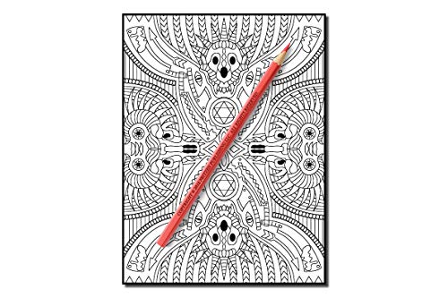 Haunted House: An Adult Coloring Book with Scary Monsters, Creepy Scenes, and a Spooky Adventure