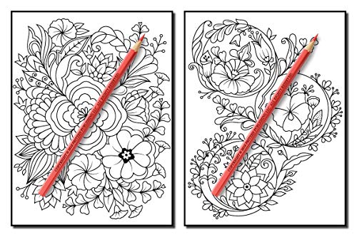 Springtime Flowers: An Adult Coloring Book with Beautiful Spring Flowers, Fun Flower Designs, and Easy Floral Patterns for Relaxation