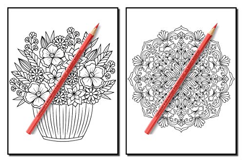 Springtime Flowers: An Adult Coloring Book with Beautiful Spring Flowers, Fun Flower Designs, and Easy Floral Patterns for Relaxation