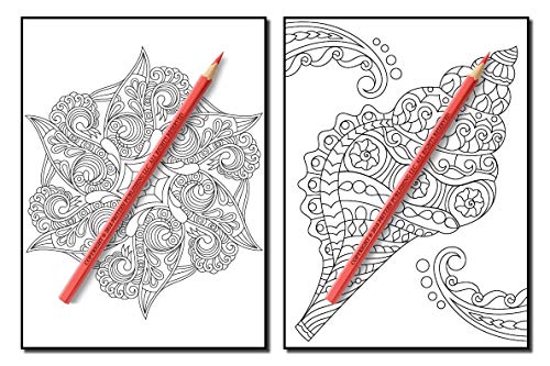 Coloring Books for Adults Relaxation: 100 Magical Swirls Coloring Book with Fun, Easy, and Relaxing Designs