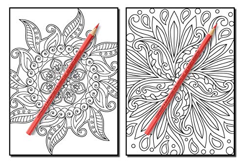 Coloring Books for Adults Relaxation: 100 Magical Swirls Coloring Book with Fun, Easy, and Relaxing Designs