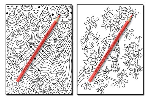 Coloring Books for Adults Relaxation: 100 Magical Swirls Coloring Book with Fun, Easy, and Relaxing Designs