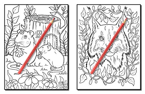 Forest Animals: An Adult Coloring Book with Adorable Woodland Creatures, Delightful Fantasy Elements, and Peaceful Nature Scenes