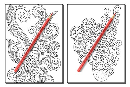 Coloring Books for Adults Relaxation: 100 Magical Swirls Coloring Book with Fun, Easy, and Relaxing Designs