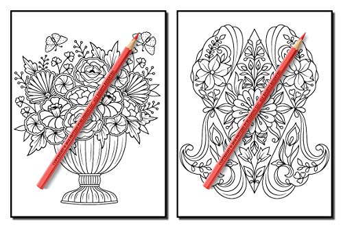Springtime Flowers: An Adult Coloring Book with Beautiful Spring Flowers, Fun Flower Designs, and Easy Floral Patterns for Relaxation
