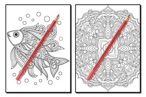 Coloring Books for Adults Relaxation: 100 Magical Swirls Coloring Book with Fun, Easy, and Relaxing Designs