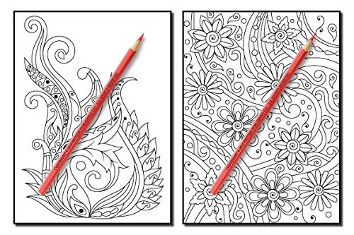 Coloring Books for Adults Relaxation: 100 Magical Swirls Coloring Book with Fun, Easy, and Relaxing Designs
