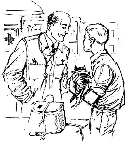 It's Like This, Cat (Dover Children's Classics)