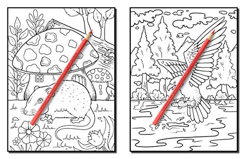 Forest Animals: An Adult Coloring Book with Adorable Woodland Creatures, Delightful Fantasy Elements, and Peaceful Nature Scenes