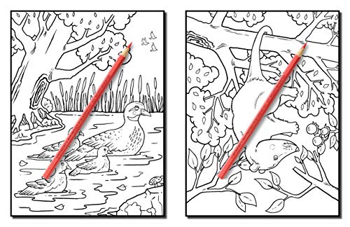 Forest Animals: An Adult Coloring Book with Adorable Woodland Creatures, Delightful Fantasy Elements, and Peaceful Nature Scenes