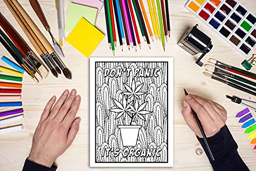 Stoner Coloring Book for Adults
