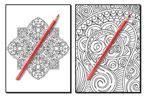 Coloring Books for Adults Relaxation: 100 Magical Swirls Coloring Book with Fun, Easy, and Relaxing Designs
