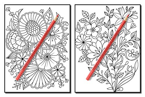 Springtime Flowers: An Adult Coloring Book with Beautiful Spring Flowers, Fun Flower Designs, and Easy Floral Patterns for Relaxation
