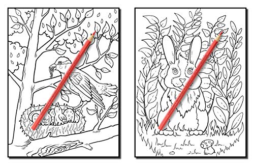 Forest Animals: An Adult Coloring Book with Adorable Woodland Creatures, Delightful Fantasy Elements, and Peaceful Nature Scenes