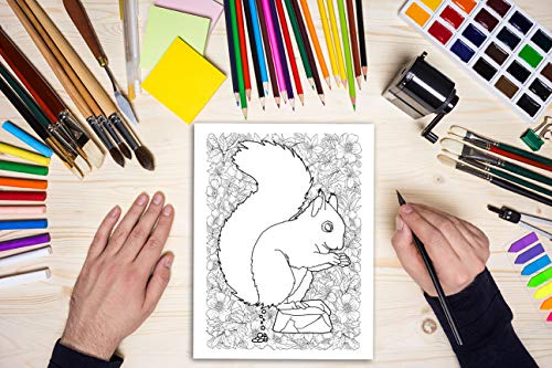 Pooping Animals: A Funny Coloring Book for Adults