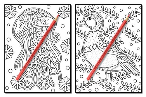Animals for Beginners: An Adult Coloring Book with Fun, Easy, and Relaxing Coloring Pages