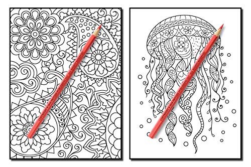 Coloring Books for Adults Relaxation: 100 Magical Swirls Coloring Book with Fun, Easy, and Relaxing Designs