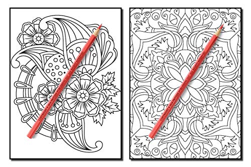 Coloring Books for Adults Relaxation: 100 Magical Swirls Coloring Book with Fun, Easy, and Relaxing Designs