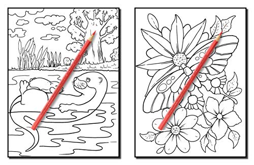 Forest Animals: An Adult Coloring Book with Adorable Woodland Creatures, Delightful Fantasy Elements, and Peaceful Nature Scenes