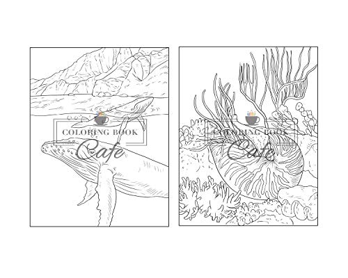 100 Wildlife Scenes: An Adult Coloring Book Featuring 100 Most Beautiful Wildlife Scenes with Animals, Birds and Flowers from Oceans, Jungles, Forests and Savannas