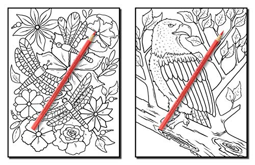 Forest Animals: An Adult Coloring Book with Adorable Woodland Creatures, Delightful Fantasy Elements, and Peaceful Nature Scenes