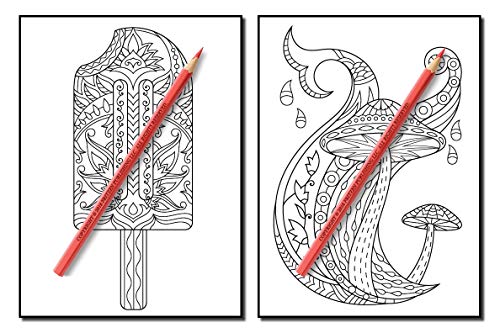 Coloring Books for Adults Relaxation: 100 Magical Swirls Coloring Book with Fun, Easy, and Relaxing Designs