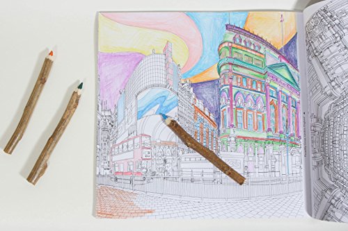 Fantastic Cities: A Coloring Book of Amazing Places Real and Imagined