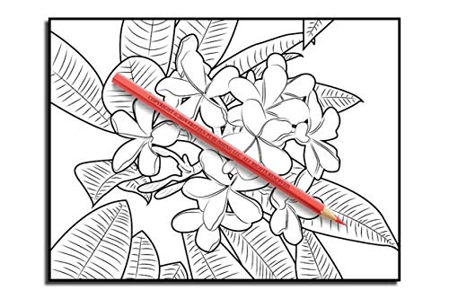 Beautiful Flowers: An Adult Coloring Book with 50 Relaxing Images of Roses, Lilies, Tulips, Cherry Blossoms, Sunflowers, Orchids, Violets, and More!