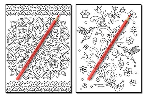 Coloring Books for Adults Relaxation: 100 Magical Swirls Coloring Book with Fun, Easy, and Relaxing Designs