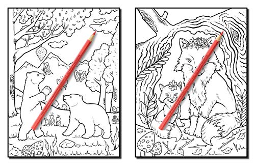 Forest Animals: An Adult Coloring Book with Adorable Woodland Creatures, Delightful Fantasy Elements, and Peaceful Nature Scenes