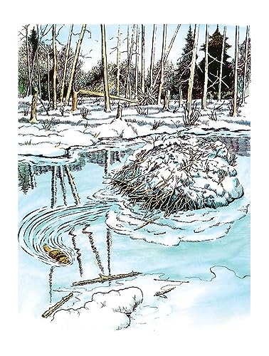 National Parks Coloring Book (Dover Nature Coloring Book)