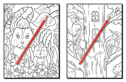 Forest Animals: An Adult Coloring Book with Adorable Woodland Creatures, Delightful Fantasy Elements, and Peaceful Nature Scenes