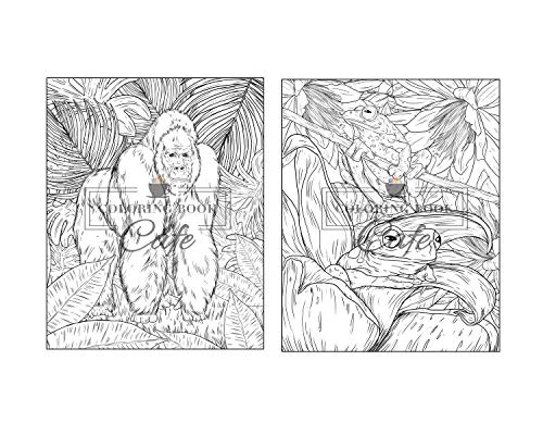 100 Wildlife Scenes: An Adult Coloring Book Featuring 100 Most Beautiful Wildlife Scenes with Animals, Birds and Flowers from Oceans, Jungles, Forests and Savannas