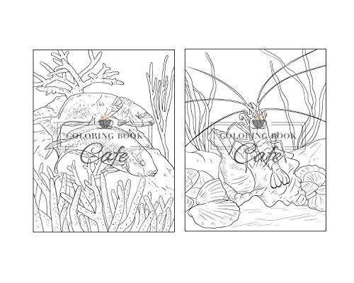 100 Wildlife Scenes: An Adult Coloring Book Featuring 100 Most Beautiful Wildlife Scenes with Animals, Birds and Flowers from Oceans, Jungles, Forests and Savannas