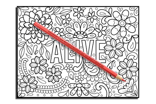Inspirational Words: An Adult Coloring Book with Fun Word Designs, Cute Kawaii Doodles, and Relaxing Flower Patterns (Inspirational Coloring Books)