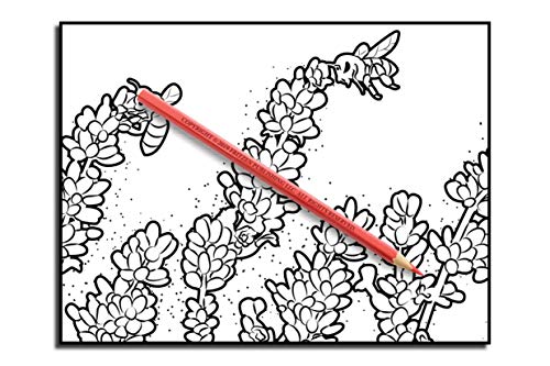 Beautiful Flowers: An Adult Coloring Book with 50 Relaxing Images of Roses, Lilies, Tulips, Cherry Blossoms, Sunflowers, Orchids, Violets, and More!