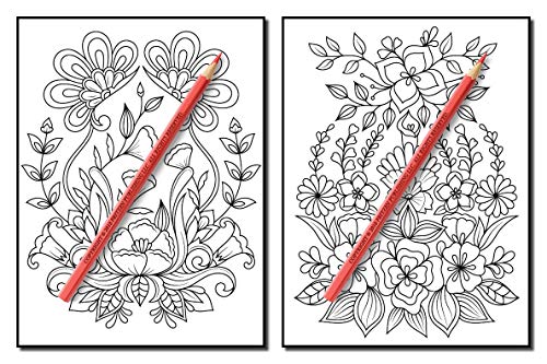 Springtime Flowers: An Adult Coloring Book with Beautiful Spring Flowers, Fun Flower Designs, and Easy Floral Patterns for Relaxation