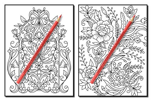 Springtime Flowers: An Adult Coloring Book with Beautiful Spring Flowers, Fun Flower Designs, and Easy Floral Patterns for Relaxation
