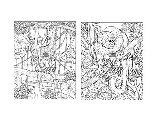 100 Wildlife Scenes: An Adult Coloring Book Featuring 100 Most Beautiful Wildlife Scenes with Animals, Birds and Flowers from Oceans, Jungles, Forests and Savannas