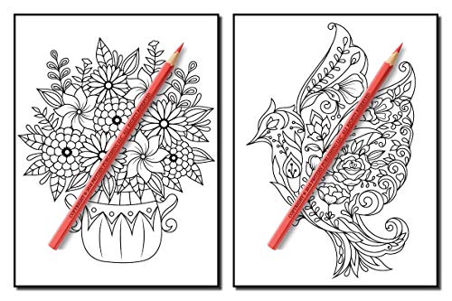 Springtime Flowers: An Adult Coloring Book with Beautiful Spring Flowers, Fun Flower Designs, and Easy Floral Patterns for Relaxation