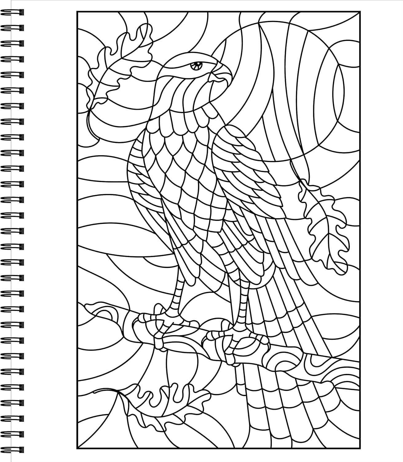 Color & Frame - 3 Books in 1 - Birds, Landscapes, Gardens (Adult Coloring Book - 79 Images to Color)