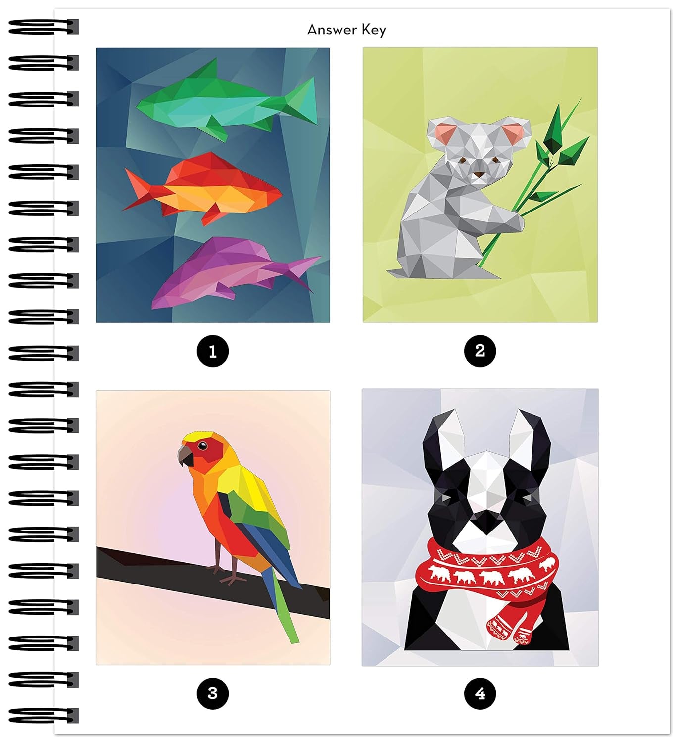 Brain Games - Sticker by Number: Animals - 2 Books in 1 (42 Images to Sticker)