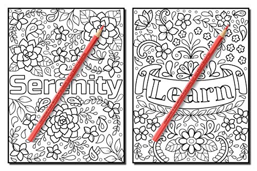 Inspirational Words: An Adult Coloring Book with Fun Word Designs, Cute Kawaii Doodles, and Relaxing Flower Patterns (Inspirational Coloring Books)