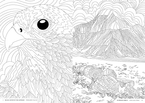 The National Parks: A Coloring Book
