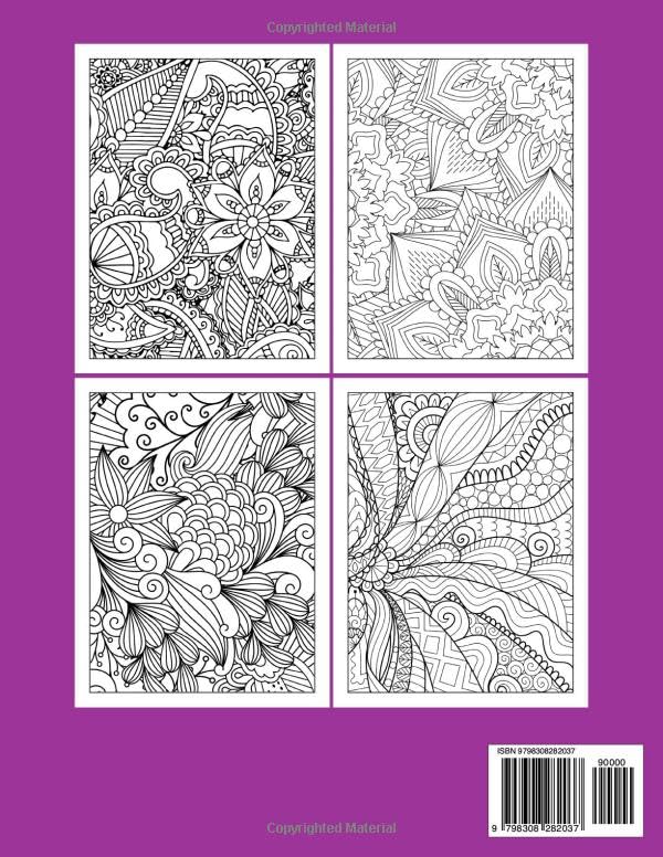 Enchanting Designs: A Relaxing Coloring Book for Adults with Stunning Patterns (Stress Relief Coloring Books Collection)