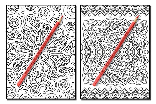 Coloring Books for Adults Relaxation: 100 Magical Swirls Coloring Book with Fun, Easy, and Relaxing Designs