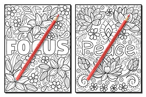 Inspirational Words: An Adult Coloring Book with Fun Word Designs, Cute Kawaii Doodles, and Relaxing Flower Patterns (Inspirational Coloring Books)