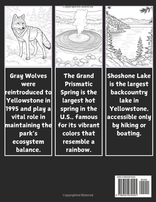 Learn and Color Yellowstone: The Ultimate Family Travel Companion for Relaxation and Creativity: An Adventure Through Nature's Wonders (Learn & Color)