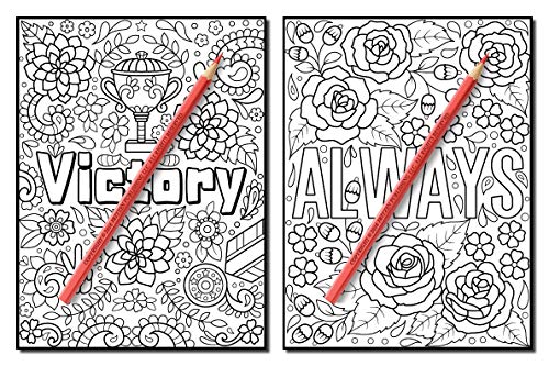 Inspirational Words: An Adult Coloring Book with Fun Word Designs, Cute Kawaii Doodles, and Relaxing Flower Patterns (Inspirational Coloring Books)
